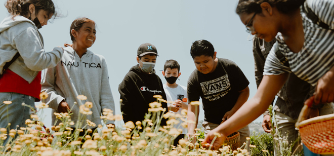 A group of children leaning over a field of yellow flowers. One girl in the foreground leans over and is picking at a bloom, a basket in her other hand. Below the photo is the logo for the SoCal Climate Champions Grant.