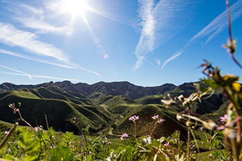 A view of the sun shining down over green mountains in the mid and background. In the foreground, flowers with pink blooms, all beneath a bright blue sky.