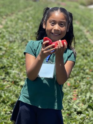 A smiling second grader holds up three large strawberries, out of focus rows of strawberry plants serving as a background behind her.