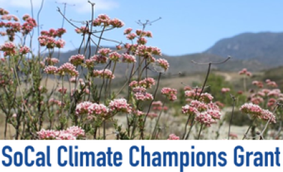 Pink milkweed flowers in bloom with brown and green mountains out of focus in the background. SoCal Climate Champions Grant Logo over white on the bottom third.