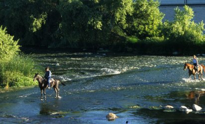 Two horses and riders wading through a gentle waterway, lush greenery in the mid-ground.