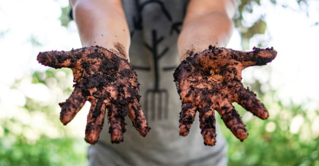 Dirty hands covered in soil in focus in foreground. Background blurred, bottom half greenery and the top half bright light.